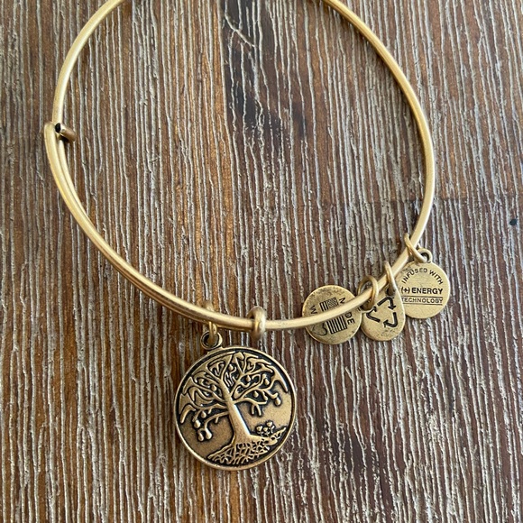 Alex and Ani Bracelets - message for bundle! - Picture 3 of 4